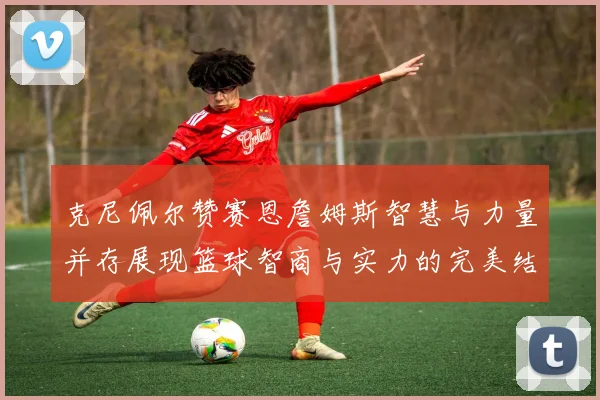 克尼佩尔赞赛恩詹姆斯智慧与力量并存展现篮球智商与实力的完美结合